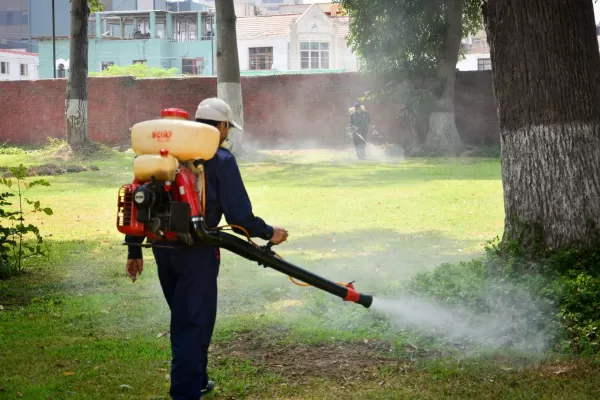 En algunos colegios privados, el 10% de los docentes y alumnos contrajo dengue, según Sadop