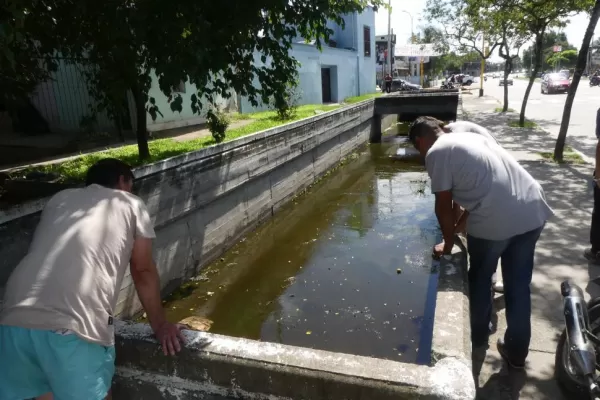 Dengue: vecinos piden el cierre de un canal a cielo abierto en Concepción