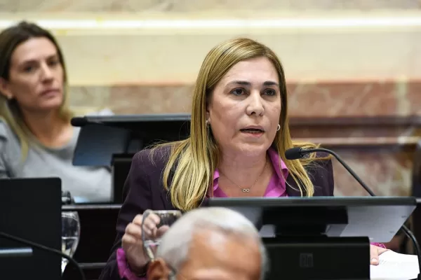 La senadora Ávila pidió que se cite a Vizzotti al Senado