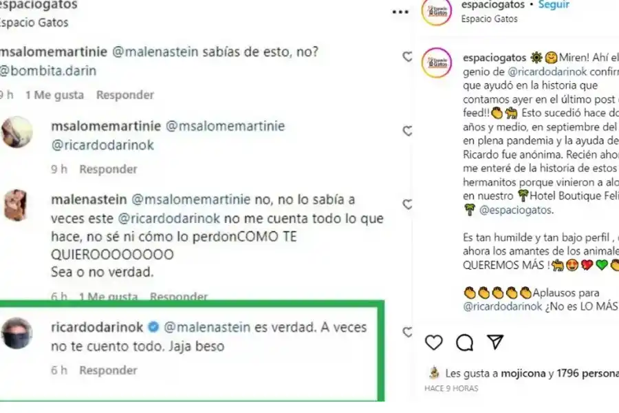 Desde @espaciogatos compartieron el gran gesto de Ricardo Darín