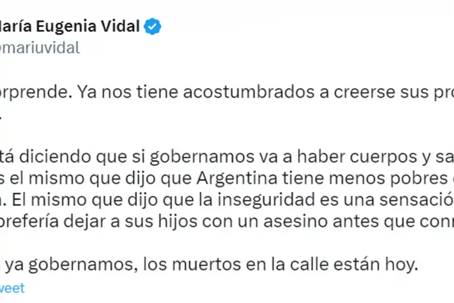 Vidal arremetió contra Aníbal Fernández por decir que habrá “sangre y muertos” si gana la oposición
