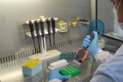 Desarrollarán un kit para detectar el dengue: cómo funcionaría