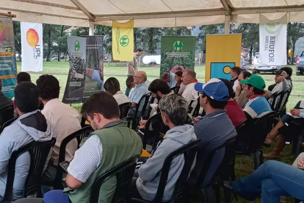 Se precisaría de 1,2 a 2,3 toneladas de soja por hectárea para cubrir gastos