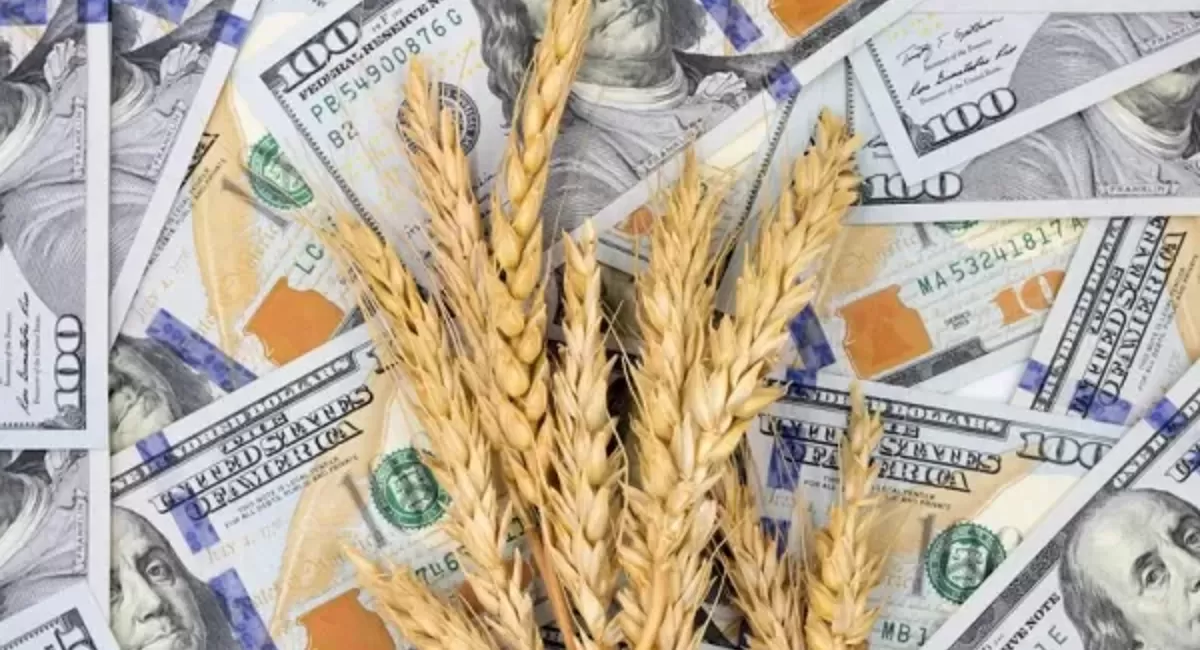 ¿Cómo impacta el dólar agro en las economías regionales?