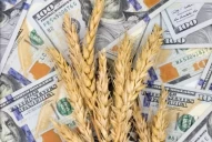 ¿Cómo impacta el dólar agro en las economías regionales?
