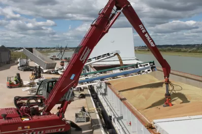 En el debut del tercer “dólar soja” vendieron 150.000 toneladas