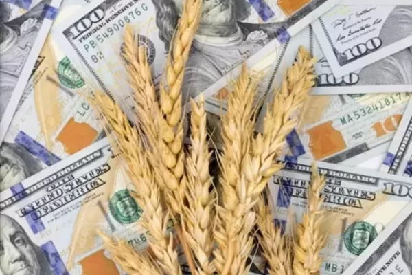 ¿Cómo impacta el dólar agro en las economías regionales?