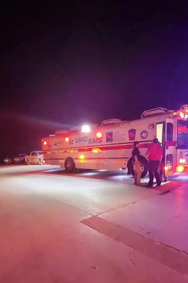 Misterio y tragedia en Texas: una explosión mató 18.000 vacas