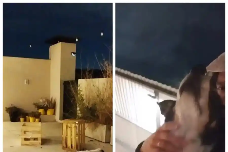 El “Tucu” López mostró su tristeza por la separación de Sabrina Rojas: “Estamos en esa”