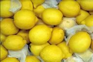 Dólar agro: fijaron los requisitos para que las economías regionales se sumen al programa nacional