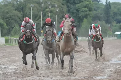 Turf: con un triunfo, Prohibition le dijo adiós a la pista local