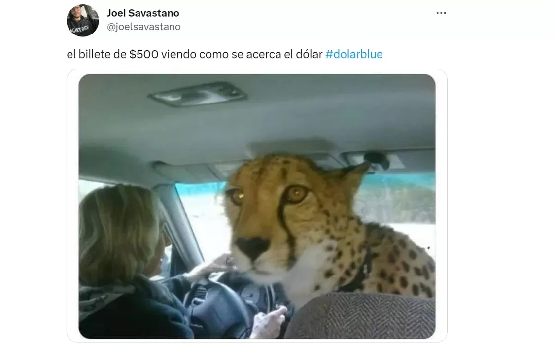 Dólar L-Gante: se dispararon los memes cuando la divisa extranjera pasó la barrera de los $ 420