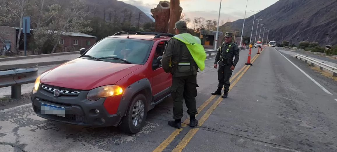 Gendarmería interceptó una camioneta que transportaba cardones
