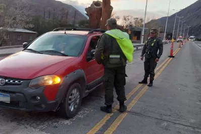 Gendarmería interceptó una camioneta que transportaba cardones
