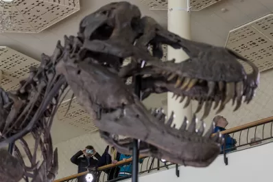 Pagó más de U$S 6 millones por el esqueleto de un dinosaurio