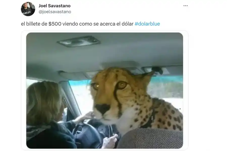 Dólar L-Gante: se dispararon los memes cuando la divisa extranjera pasó la barrera de los $ 420