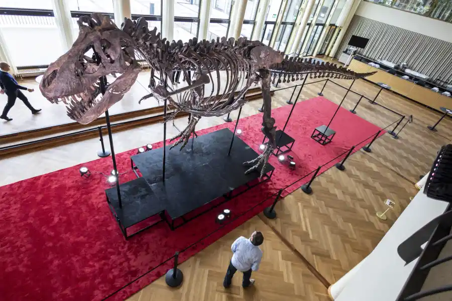 Pagó más de U$S 6 millones por el esqueleto de un dinosaurio