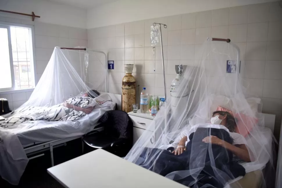 Suben los contagios en Tucumán: ya se notificaron 17.578 casos de dengue