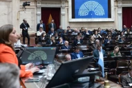 Diputados: el Frente de Todos y Juntos por el Cambio frenaron la declaración de emergencia sanitaria por el dengue