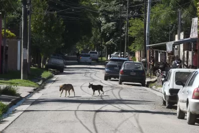 Yerba Buena: arrastraron a un niño para robarle la bici