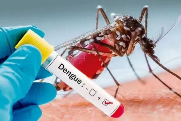 Dengue: cuáles y cómo son las cepas que circulan en Argentina