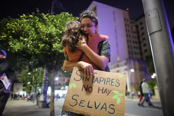 En imágenes: marcharon para pedir justicia por la tapir Suyana