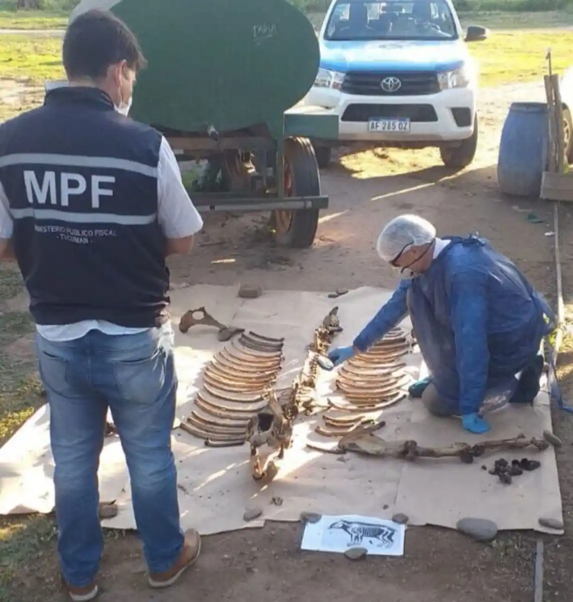 El Equipo Científico de Investigaciones Fiscales se ocupará del caso de la tapir Suyana