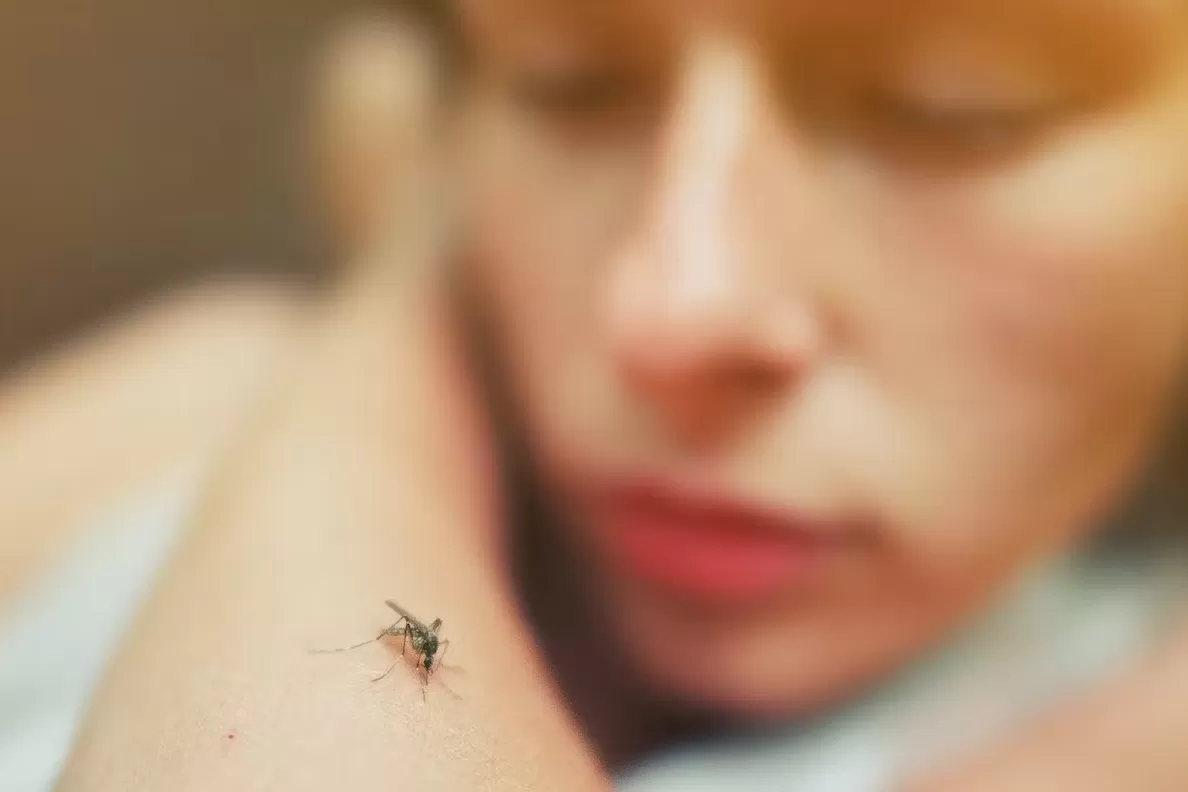 Dengue: ¿una persona puede ser asintomática?