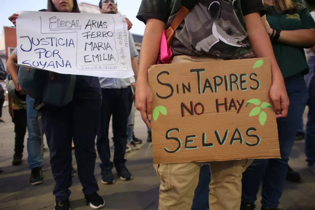 MOVILIZACIÓN. Tucumanos marcharon este miércoles para pedir justicia por la muerte de la tapir Suyana.