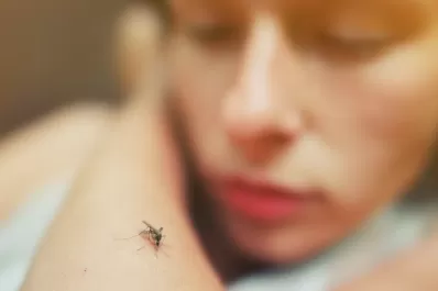 Argentina superó los 56.300 casos de dengue y hay circulación viral en 15 provincias