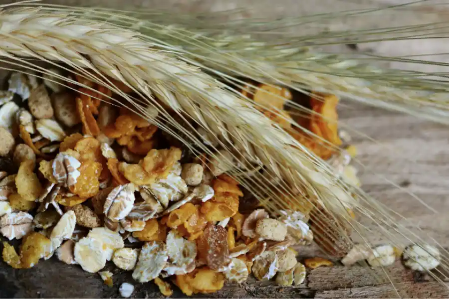 Los cereales integrales son recomendados por los nutricionistas para su consumo.