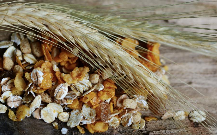 Los cereales integrales son recomendados por los nutricionistas para su consumo.