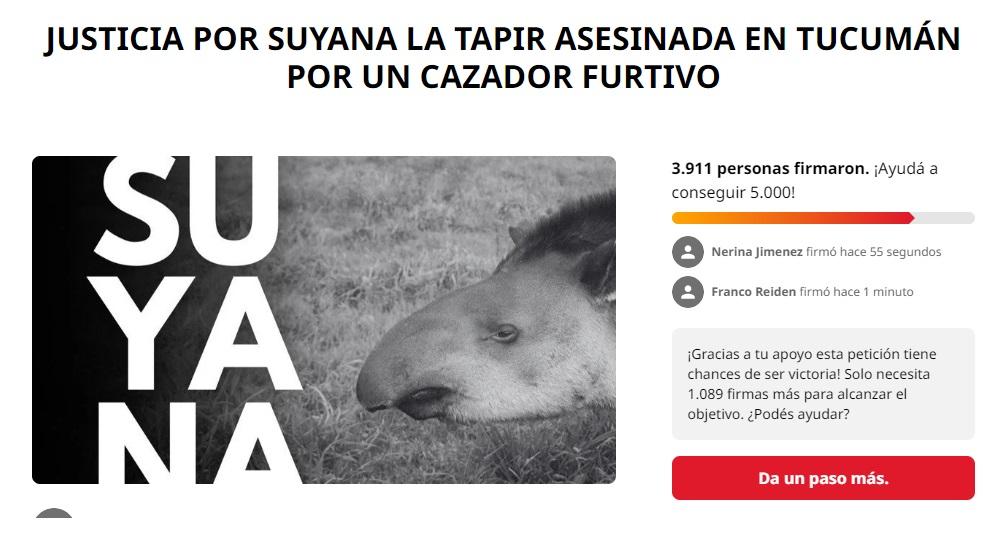 Juntan firmas para pedir justicia por Suyana, la tapir asesinada en Tucumán por un cazador furtivo