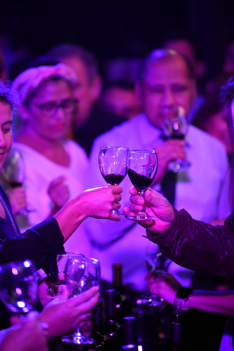 BRINDIS. Los organizadores del evento pidieron celebrar a los vinos tucumanos para “olvidar la desgracia” que azotó al sector el año pasado, cuando una helada tardía arrasó con los viñedos de los Valles.