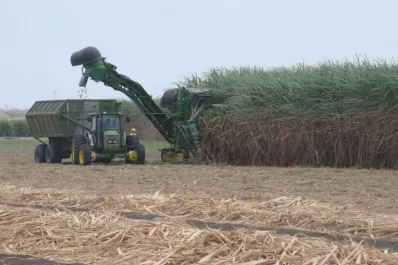 La Florida iniciará su producción con “azúcar crudo”