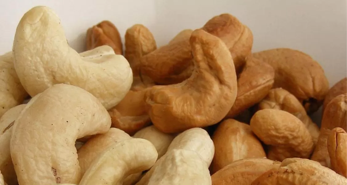 Castañas de cajú, anacardo, marañón o nuez de la India, el fruto seco recomendado por los especialistas.