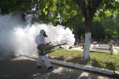 Dengue: ¿la fumigación alcanza para exterminar al mosquito Aedes aegypti?
