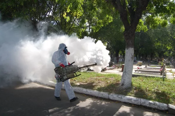 Dengue: ¿la fumigación alcanza para exterminar al mosquito Aedes aegypti?