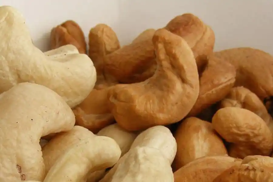 Castañas de cajú, anacardo, marañón o nuez de la India, el fruto seco recomendado por los especialistas.