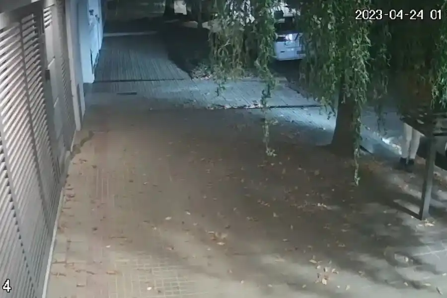La serpiente estaba en el frente de una casa. (Foto: captura de video TN)