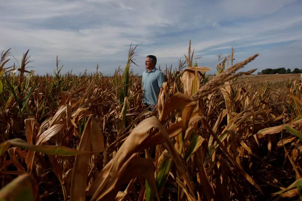  Sequía: se perdieron U$S 20.468 millones, según Crea