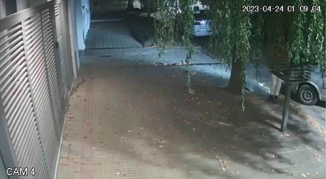 La serpiente estaba en el frente de una casa. (Foto: captura de video TN)