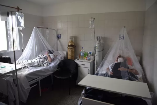 Dengue grave en Tucumán: este año ya internaron a 1.748 pacientes