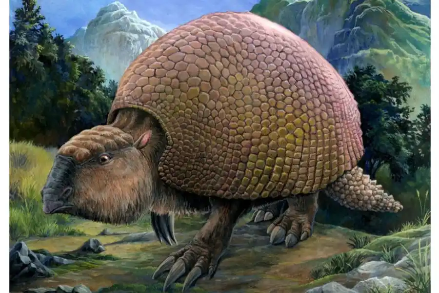 Un niño tucumano descubrió restos de un gliptodonte y revolucionó su escuela