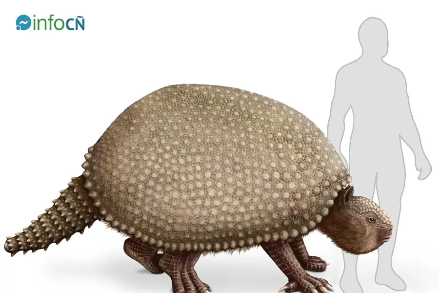 Comparativa entre el tamaño de un gliptodonte y el de un humano