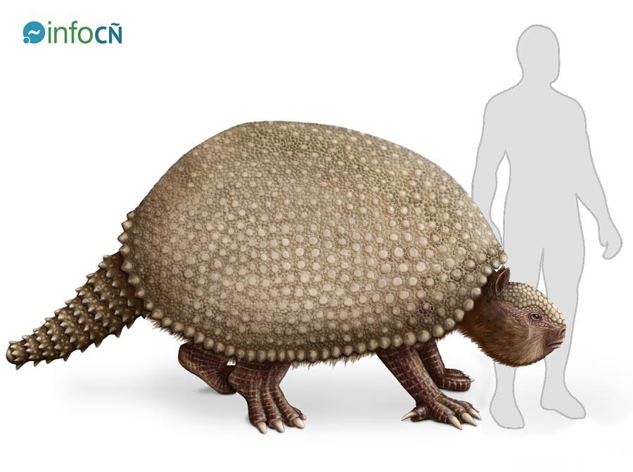 Comparativa entre el tamaño de un gliptodonte y el de un humano