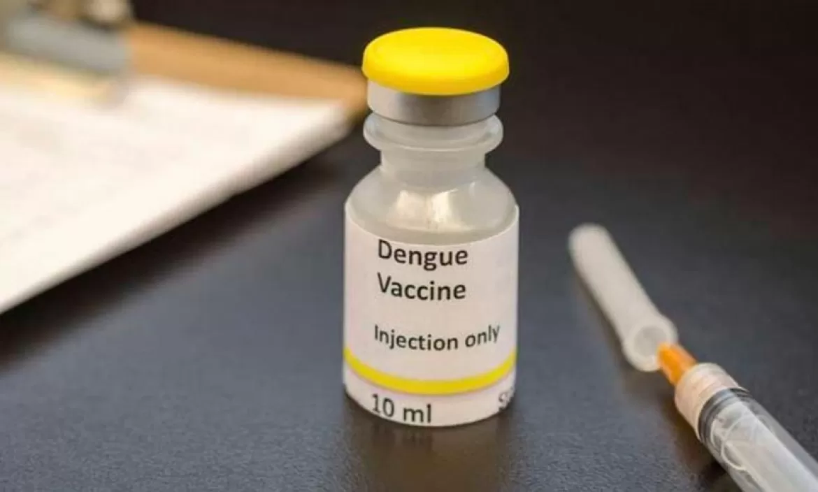 Vacuna contra el dengue: ¿qué dicen los expertos acerca del producto que se elaborará en Japón y se aplicará en Argentina?
