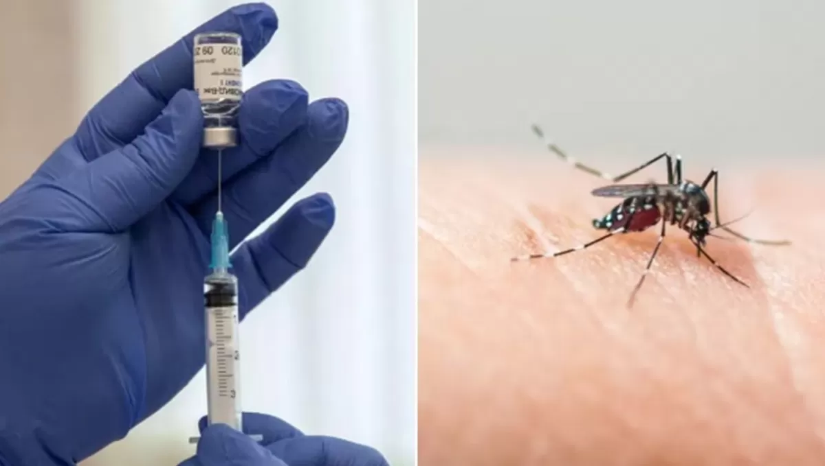 La ANMAT aprobó la vacuna contra el dengue