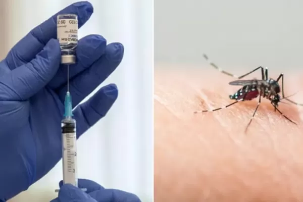 Vacuna contra el dengue: cuántas dosis tiene y en qué período de tiempo deben aplicarse