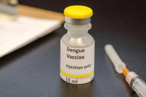 Vacuna contra el dengue: ¿qué dicen los expertos acerca del producto que se elaborará en Japón y se aplicará en Argentina?